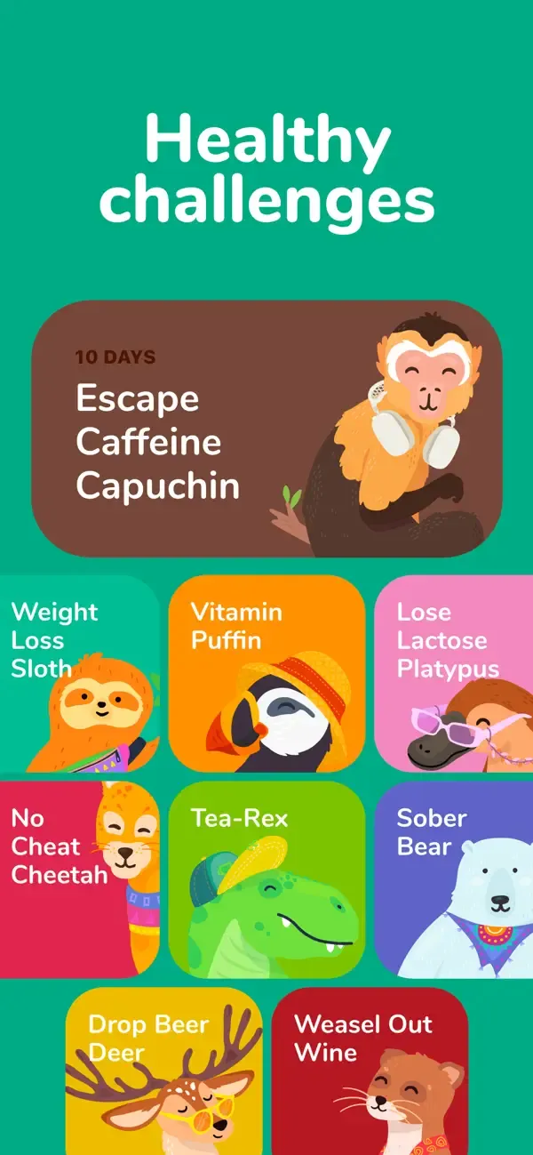 A colorful grid of Waterllama animal characters hosting healthy challenges