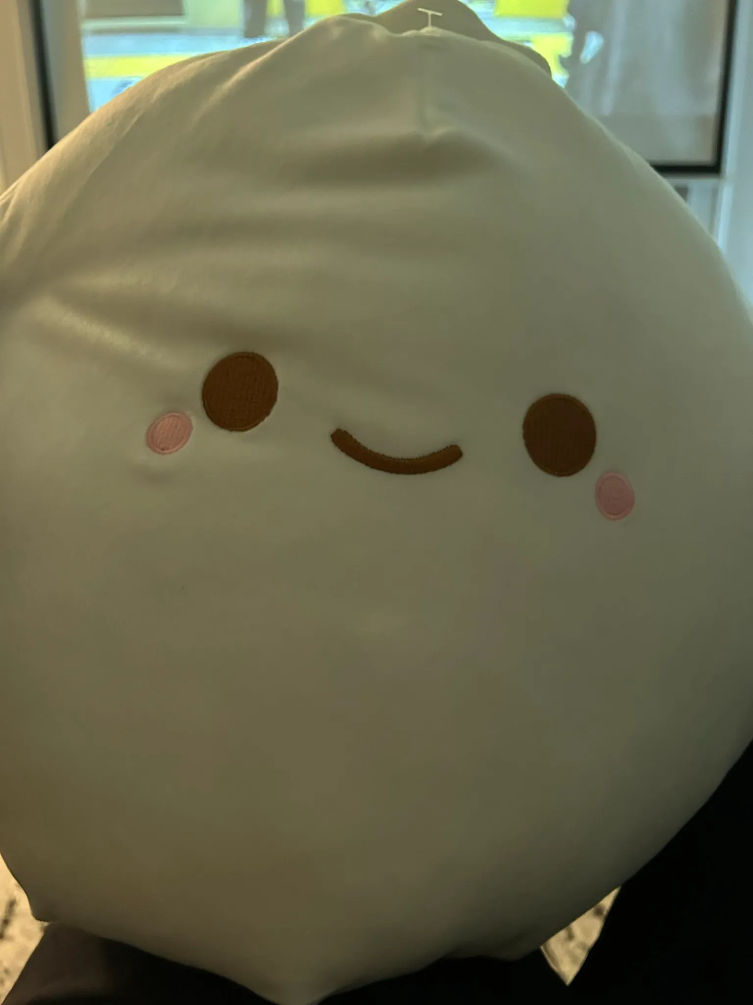 A developer holding a large Bun mascot plush received as a birthday gift