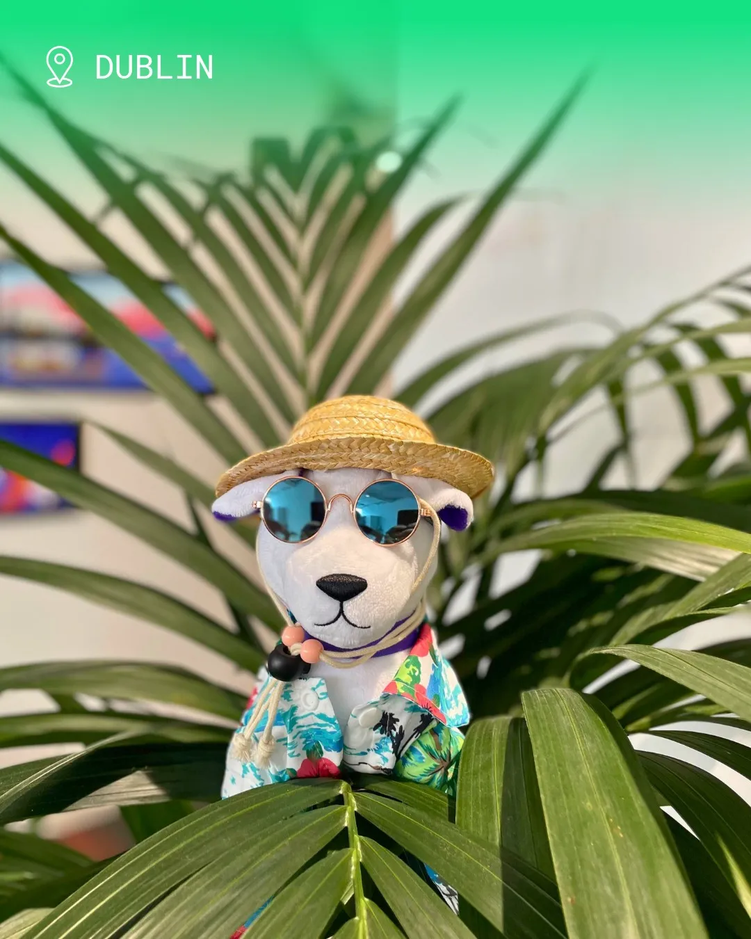 Datadog's Bits plush dressed for vacation among plants in the Dublin office