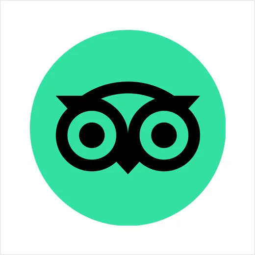 A large black Ollie owl face centered in a green circular avatar