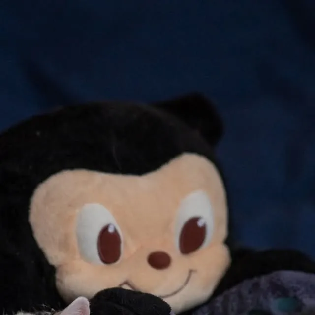 A close-up Mona Octocat plush toy