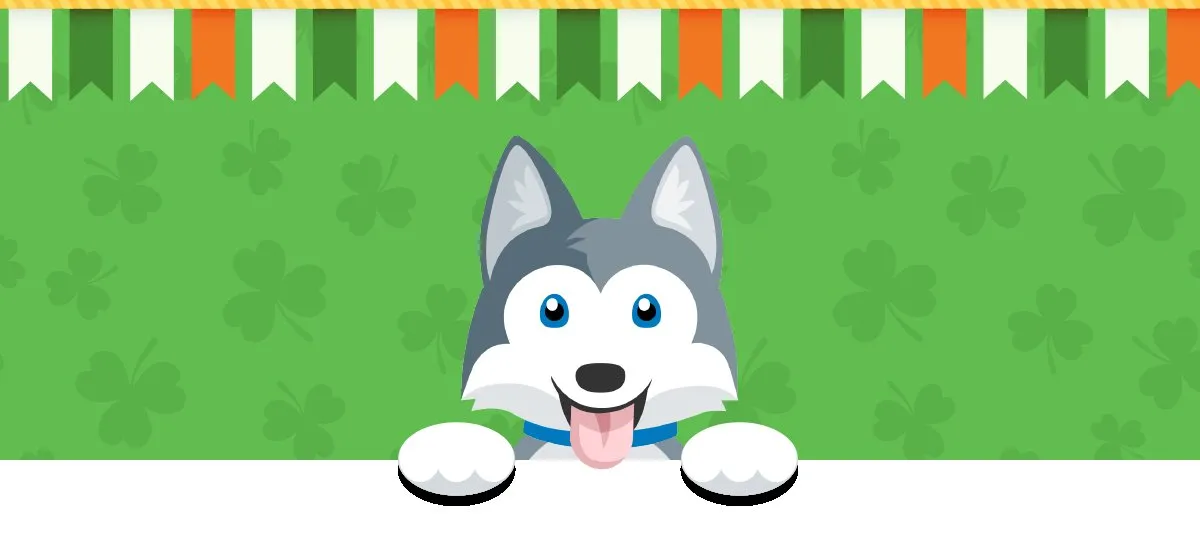 Taco the husky leaning over a St Patrick's Day banner